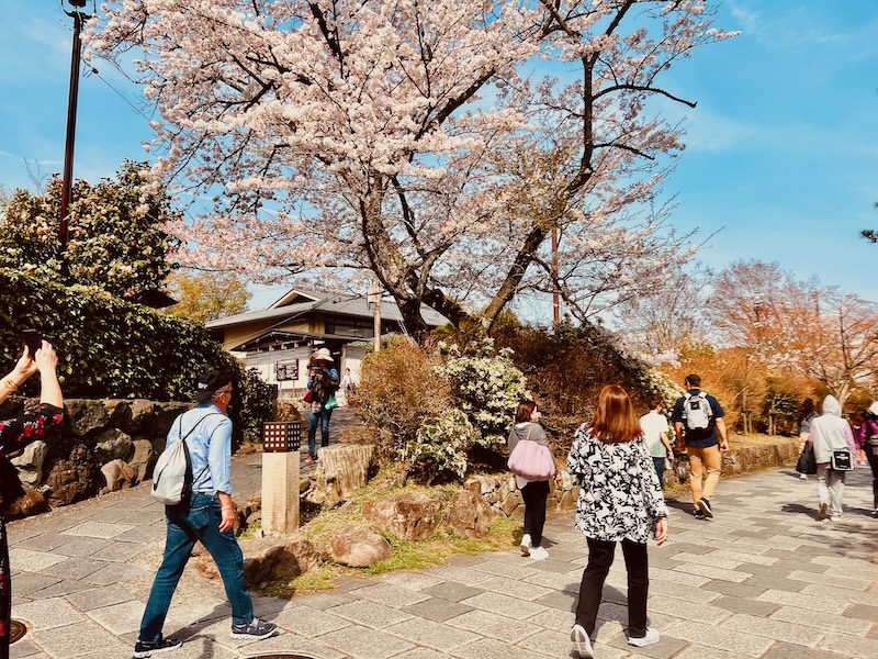 保津川側の出入口2